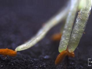 Img.VTax680.Ex3.Img3