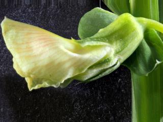 Img.VTax680.Ex3.Img8