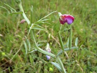 Img.VTax681.Ex1.Img1