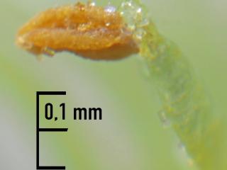 Img.VTax681.Ex2.Img1
