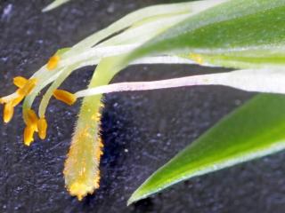 Img.VTax686.Ex4.Img6