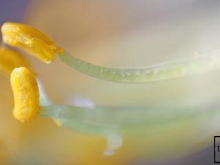 Img.VTax686.Ex4.Img7