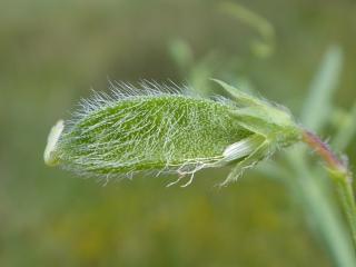 Img.VTax688.Ex1.Img4