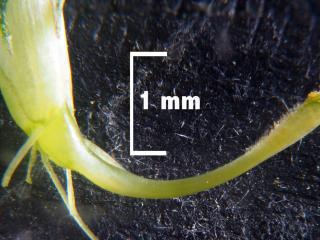 Img.VTax690.Ex1.Img1