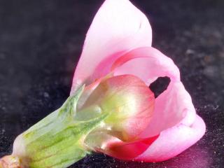 Img.VTax690.Ex1.Img3