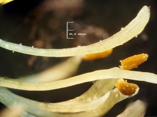 Img.VTax690.Ex1.Img6
