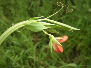 Img.VTax691.Ex1.Img6