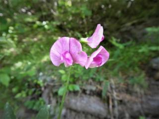 Img.VTax692.Ex1.Img1