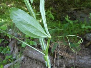 Img.VTax692.Ex1.Img3