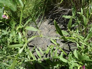 Img.VTax692.Ex3.Img1