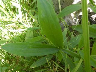 Img.VTax692.Ex3.Img3