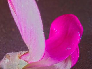 Img.VTax693.Ex3.Img13