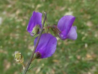 Img.VTax698.Ex1.Img1