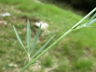 Img.VTax698.Ex1.Img3