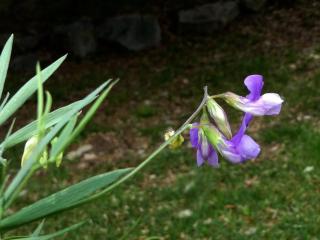 Img.VTax698.Ex1.Img6