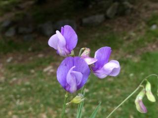 Img.VTax698.Ex1.Img7
