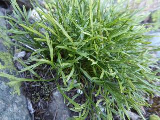 Img.VTax70.Ex1.Img1