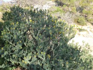 Img.VTax742.Ex1.Img6