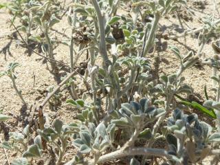 Img.VTax744.Ex1.Img6