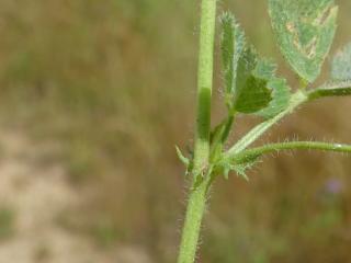 Img.VTax763.Ex2.Img3