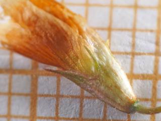 Img.VTax778.Ex2.Img6