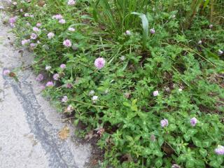Img.VTax818.Ex1.Img1