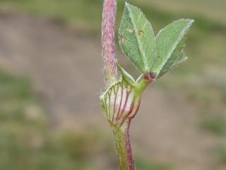 Img.VTax818.Ex1.Img6
