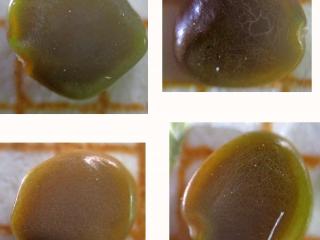 Img.VTax826.Ex3.Img1