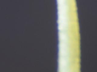 Img.VTax837.Ex1.Img11
