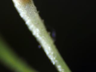 Img.VTax837.Ex1.Img8