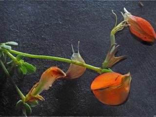 Img.VTax837.Ex1.Img9