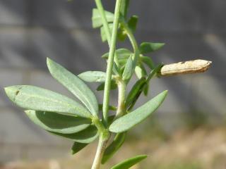 Img.VTax838.Ex2.Img6