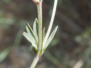 Img.VTax838.Ex3.Img5