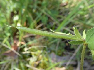 Img.VTax841.Ex1.Img5