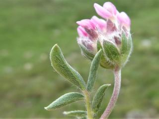 Img.VTax845.Ex1.Img1