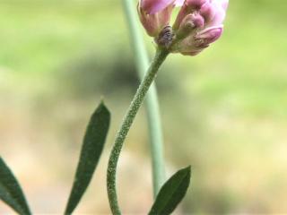 Img.VTax846.Ex1.Img3