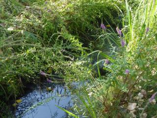 Img.VTax885.Ex2.Img2