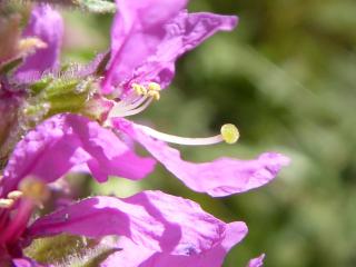 Img.VTax885.Ex4.Img5