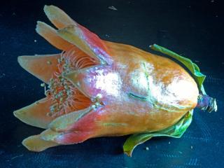 Img.VTax894.Ex3.Img1