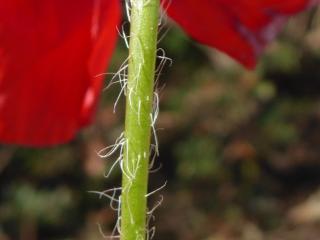 Img.VTax952.Ex2.Img3