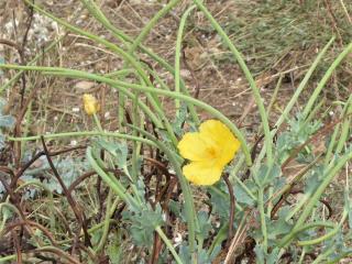 Img.VTax961.Ex1.Img1