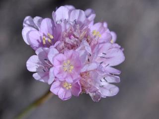 Img.Vtax2224.Ex3.Img3