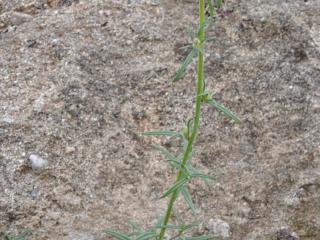 Img.Vtax2601.Ex3.Img1