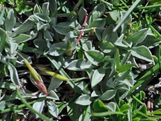Img.VTax3035.Ex5.Img6