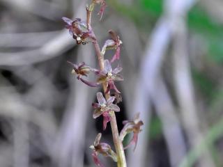 Img.Vtax4230.Ex3.Img5