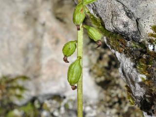 Img.Vtax4313.Ex2.Img1