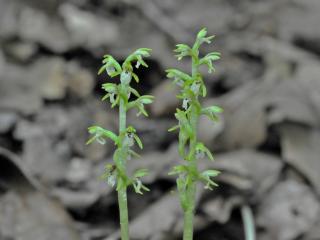 Img.Vtax4313.Ex2.Img3