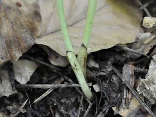 Img.Vtax4313.Ex2.Img5