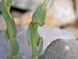 VTax4908.Ex2.Img5