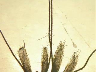 VTax4081.Ex1.Img2